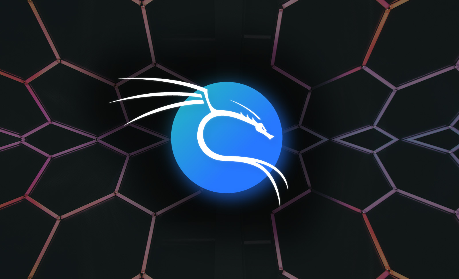 Kali Linux