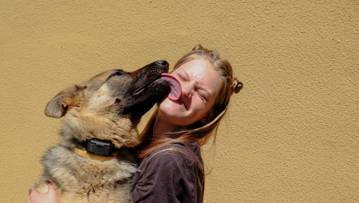 Elle Se Fais Baiser Par Un Chien Pourquoi obtenir un baiser baveux de votre chien peut être une mauvaise